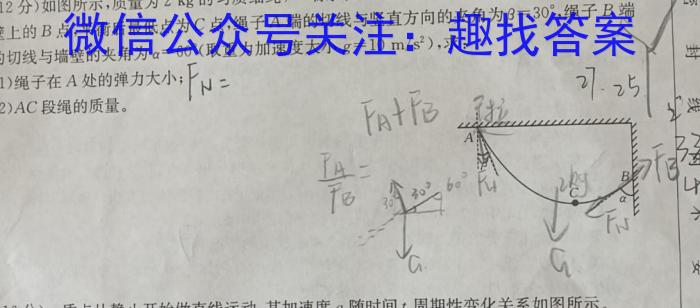 2024~2025学年度武汉市部分学校高三九月调研考试(2024.9.4)物理`