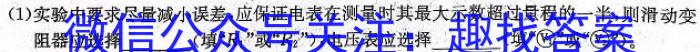 四川省内江市高中2025届零模试题物理`