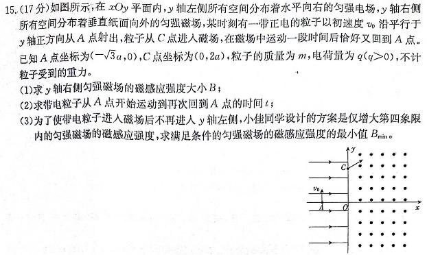 NT 2023-2024学年第二学期高一期末考试(物理)试卷答案