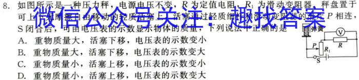 安徽省2024年高考适应性联考(243636D)物理试卷答案