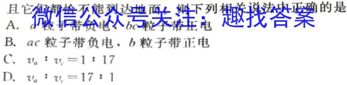 湖北省2024年高二9月起点考试物理试题答案