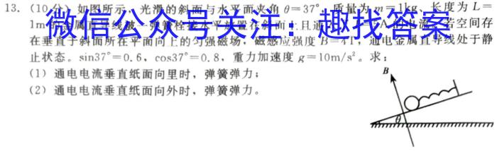 湖北省联考协作体 2024年普通高等学校招生全国统一考试模拟试题(三)3物理试卷答案