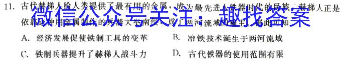 2024届皖江名校联盟高三下学期4月联考[F-024]历史试卷答案