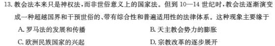 2024届河北省高三大数据应用调研联合测评(VIII)历史