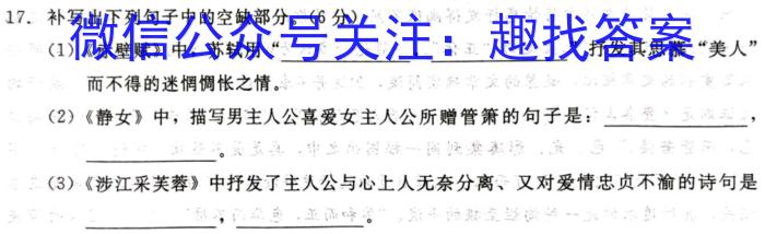 天一大联考·安徽省2023-2024学年度高二年级下学期第一次联考（3月）语文