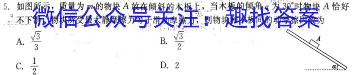 河北省2024届九年级考前适应性评估(二) 6L R物理试卷答案