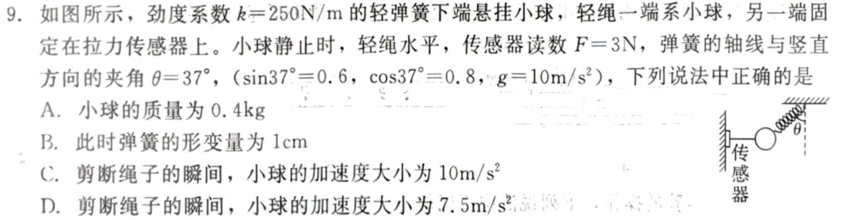 云南师大附中2025届高二年级下学期开学考试物理试题.