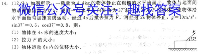 河北省高一年级2024年1月联考试卷物理试卷答案