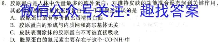 2024年普通高等学校招生全国统一考试 名校联盟·压轴卷(T8联盟)(二)2生物学试题答案