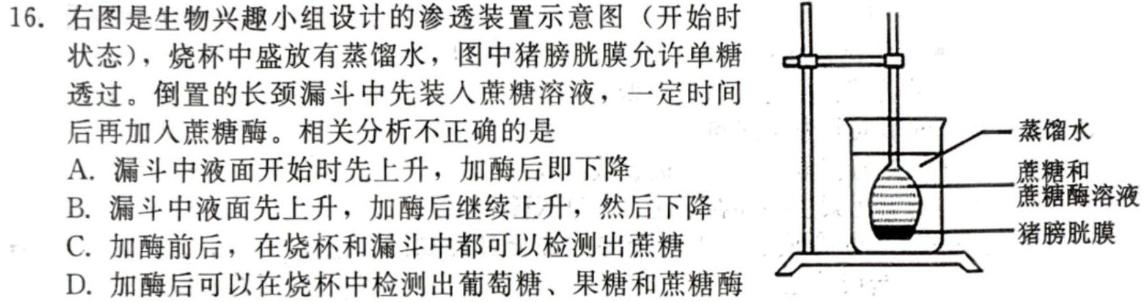 万维中考·2024年成都市高中阶段教育学校统一招生暨初中学业水平考试（黑卷）生物学部分