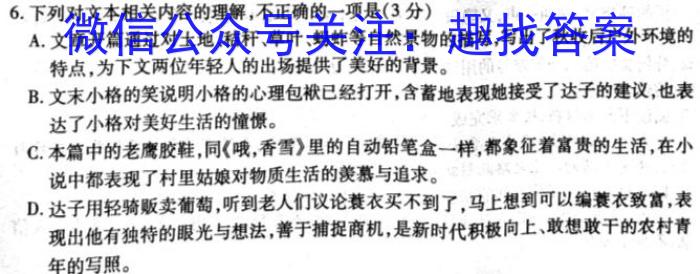 安徽省枞阳县2023-2024学年度高一上学期期末考试/语文