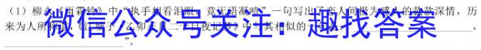 ʡ2023-2024ѧȵһѧھ꼶ĩԾxԾ