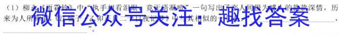 焦作市普通高中2023-2024学年（下）高一年级期末考试语文