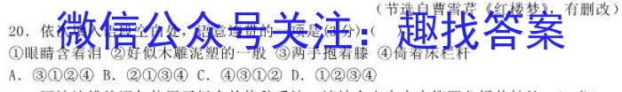 衡水金卷先享题调研卷2024答案(JJ·A)(三3)语文