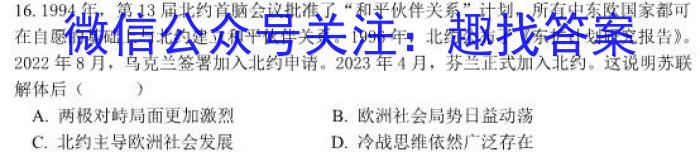 陕西省蒲城县2024届高三第三次对抗赛历史试卷