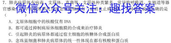 衡水金卷·2024届高三年级3月份大联考(新教材)生物学试题答案