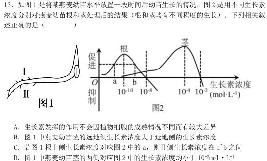 2024届华大新高考联盟高三3月教学质量测评生物学部分