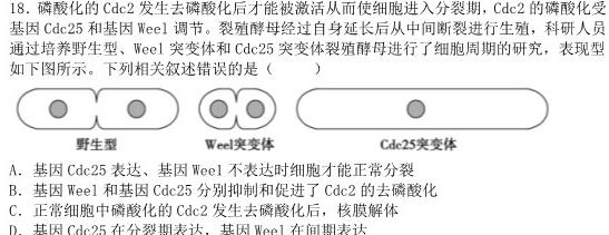 安徽省2025届八年级下学期5月联考（无标题）生物