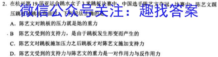 安徽省2024年初中毕业学业考试模拟试卷2024.3物理试卷答案