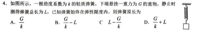 河南省2023-2024学年第二学期高一年级期末考试(物理)试卷答案