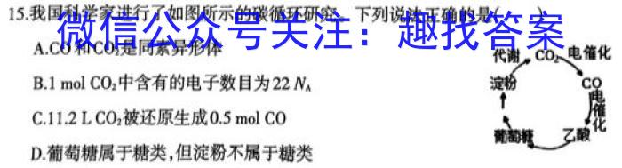 32024年卷行天下 高二上学期期末考试模拟卷(一)化学试题