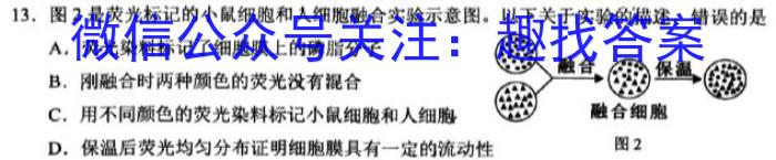 河南省新乡市2023-2024学年度高二年级上学期12月联考生物学试题答案