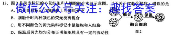 南阳地区2024年春季高一年级阶段检测考试卷（555）生物学试题答案