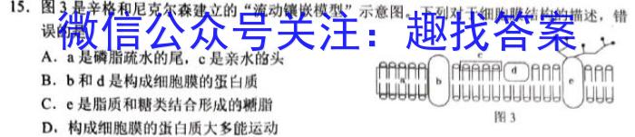 山西省晋城市2024年高三第一次模拟考试试题(24-296C)生物学试题答案