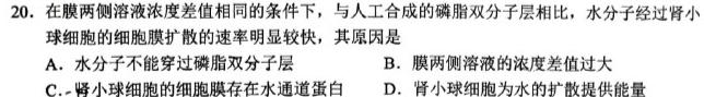 天一大联考 亳州市普通高中2023-2024学年度第一学期高二期末质量检测生物学部分