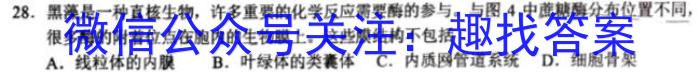 河北省卓越联盟2023-2024学年第一学期高三月考试卷(24-288C)生物学试题答案