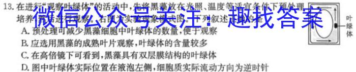 天一大联考 安徽省2023-2024学年(上)高二冬季阶段性检测生物学试题答案