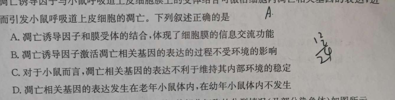 安徽省2023-2024学年江南十校高一分科诊断摸底联考生物