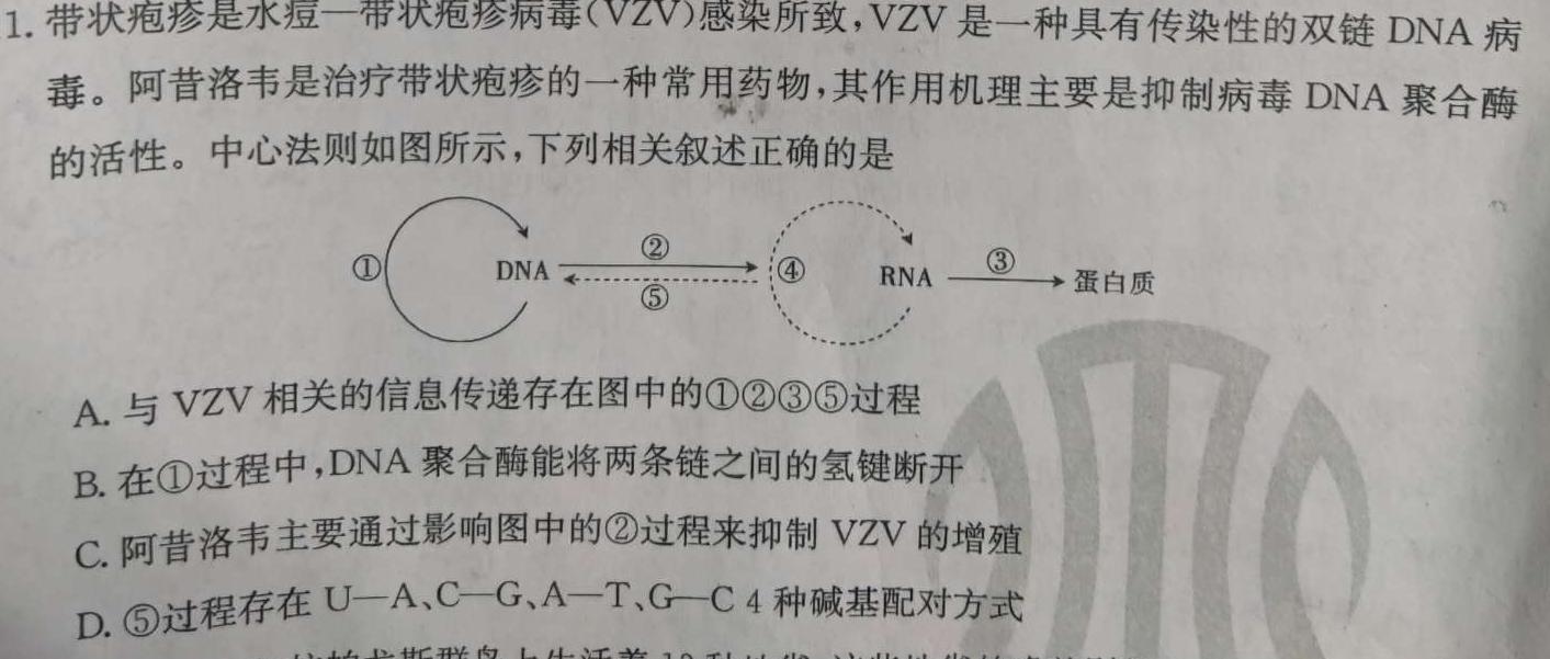 衡水金卷2024版先享卷答案分科综合卷(河北专版)二生物