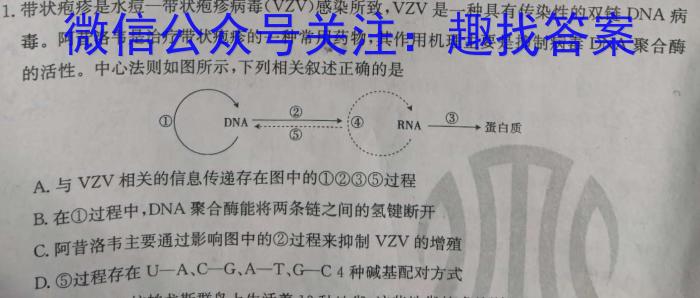 安徽六校教育研究会2024届高三年级第二次素养测试生物学试题答案