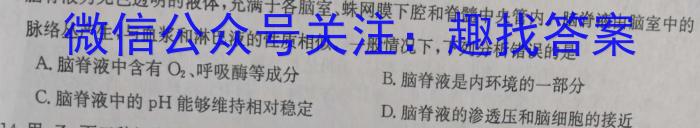 百师联盟·河南省2023-2024学年高一6月联考（期末联考）生物学试题答案