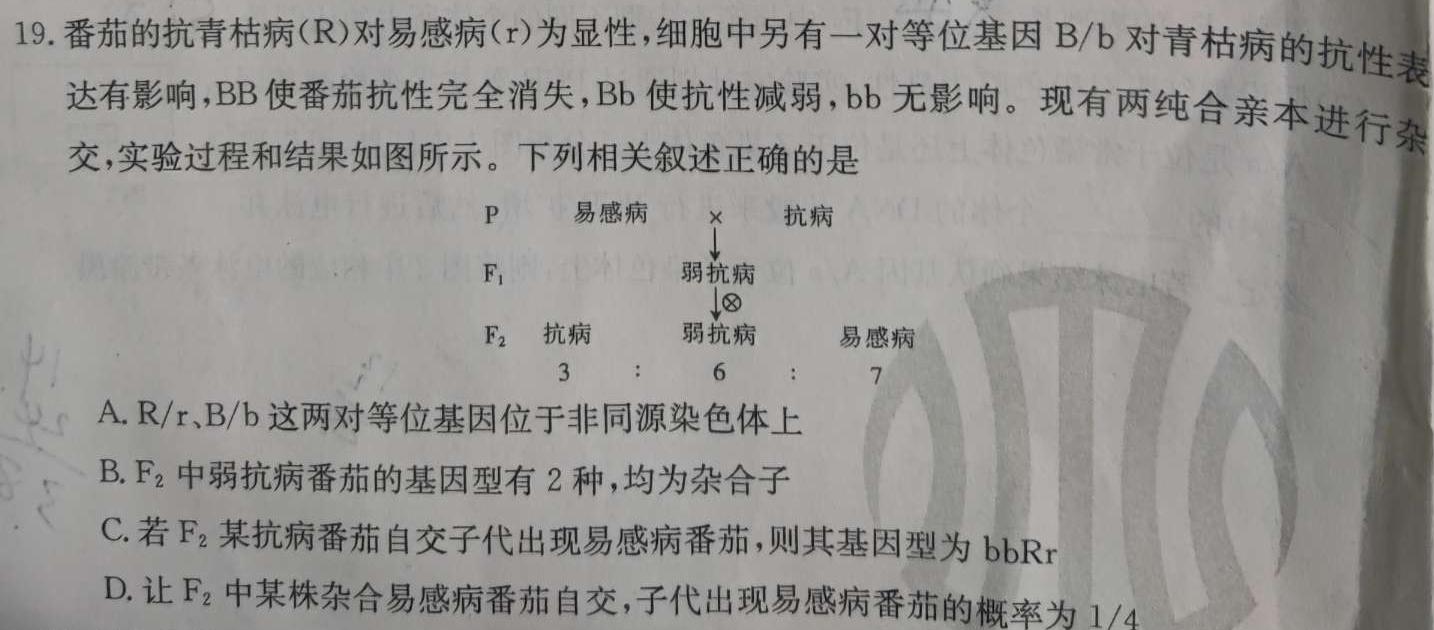 云南省2025届高三9.5日考试(YN)生物