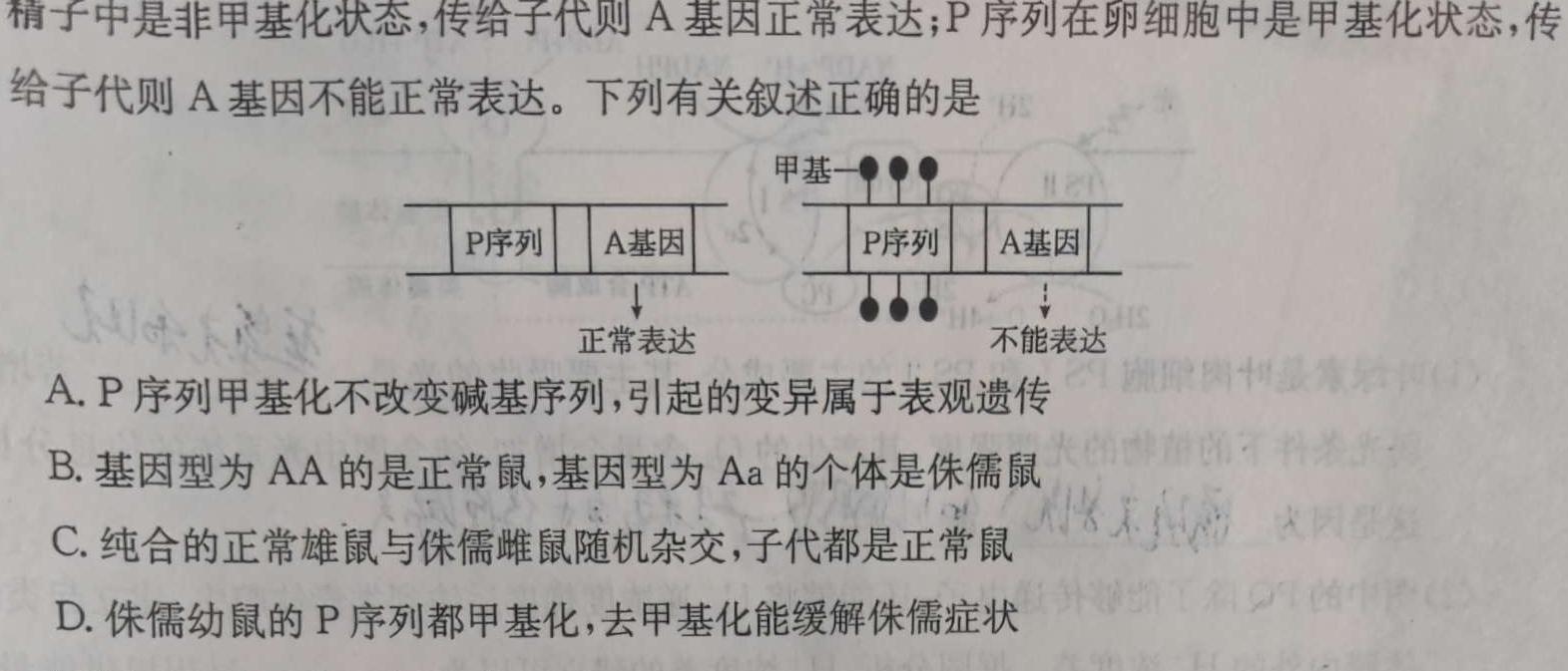 创优文化 2024年陕西省普通高中学业水平合格性考试模拟卷(六)6生物学部分