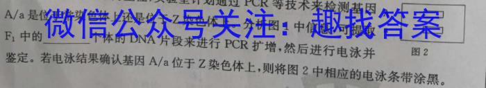 安徽省2024年叶集区九年级联考（三）试题卷生物学试题答案