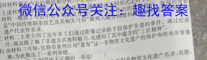 文博志鸿2024年河南省普通高中招生考试模拟试卷(九)/语文