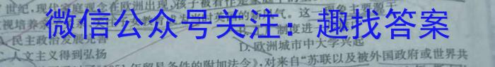 2024届普通高校招生全国统一考试仿真模拟·全国卷 YX-E(四)历史试卷答案