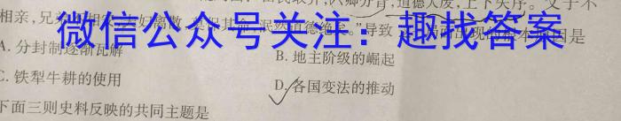 天一大联考 湖南省2024届高三2月联考历史试卷答案