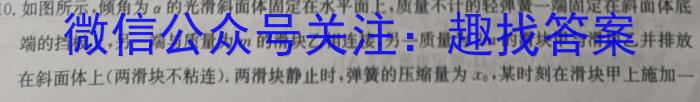 2025年普通高等学校招生全国统一考试模拟金卷(二)2物理试题答案