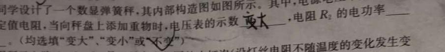 陕西省2023~2024学年度八年级期末教学素养测评(八) 8L R-SX(物理)试卷答案