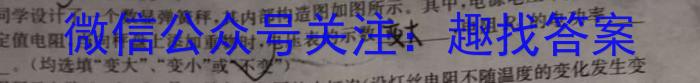 名校计划2024年河北省中考适应性模拟检测（导向二）h物理