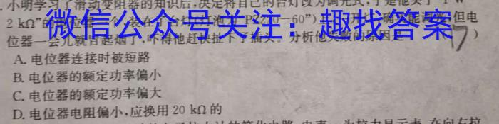 河北省2023-2024学年第一学期九年级教学质量检测四物理试卷答案