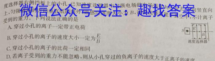 衡中同卷·天舟益考 2025届全国高三第一次联合性检测物理试题答案