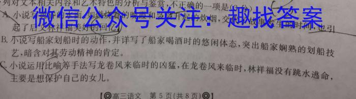 安徽省2024届毕业班学科质量检测(九)9语文