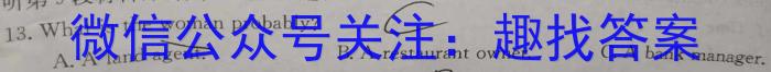 新向标教育2024年河南省中考仿真模拟考试(三)英语试卷答案