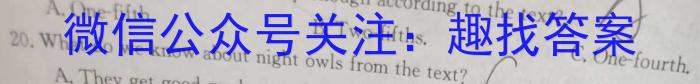 安徽省2023-2024学年九年级上学期综合素养评价英语