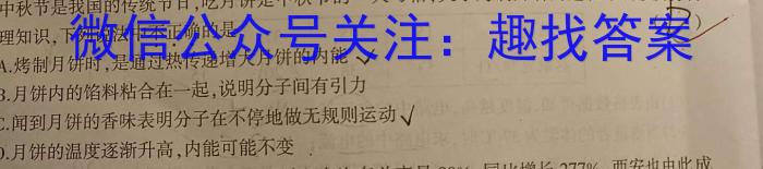 九师联盟 2024届高三5月仿真模拟物理试卷答案